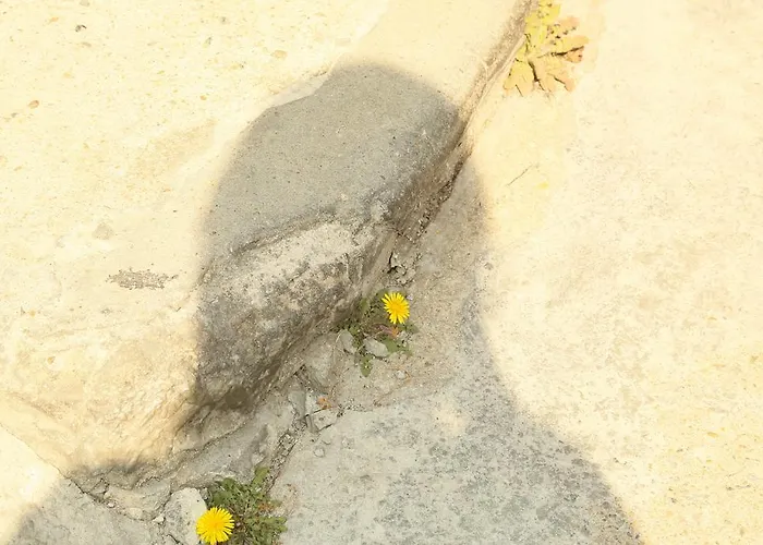ソウル ホリデイ ゲストハウス *